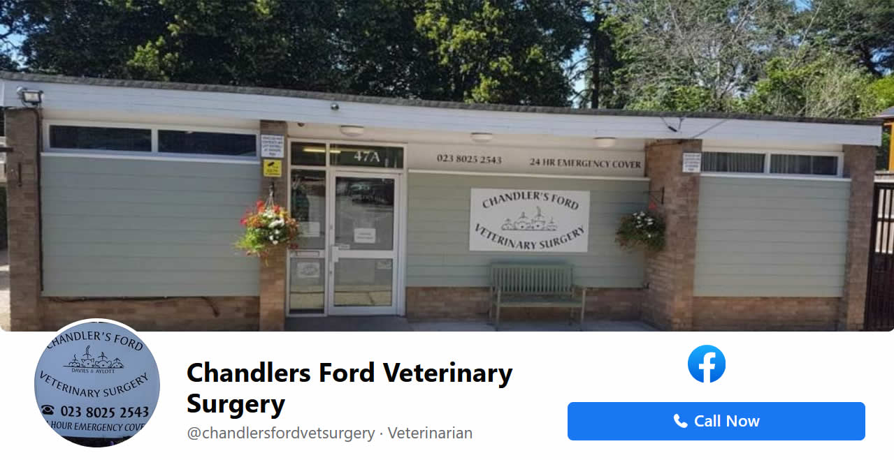 Chandlers Ford Vets Facebook Page