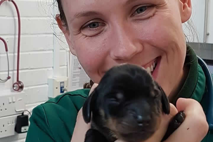 vet nurse and puppy