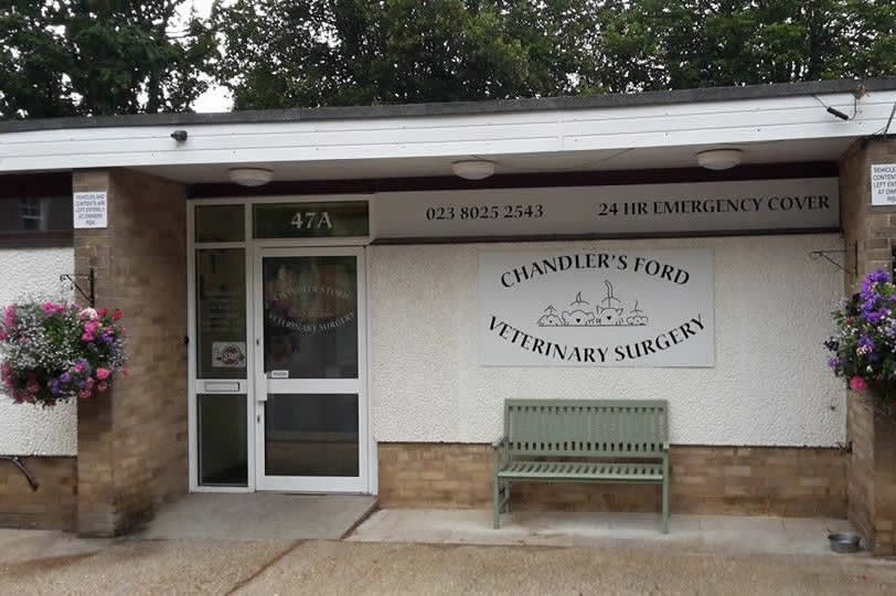 Chandlers Ford Vet Surgery
