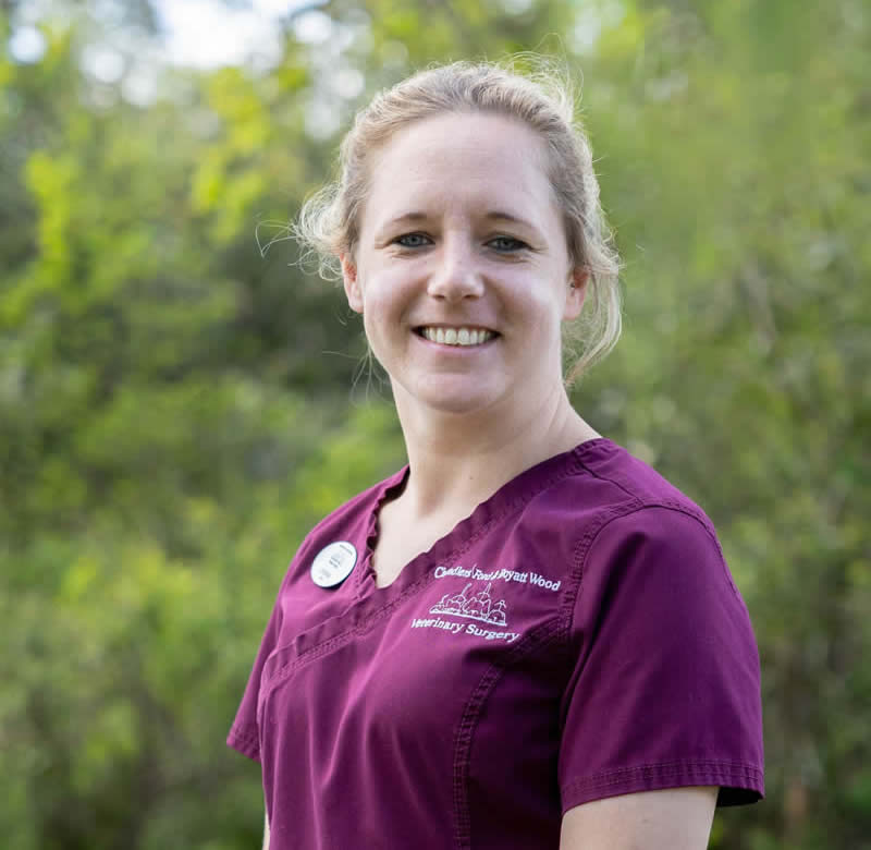 chandlers ford vets
