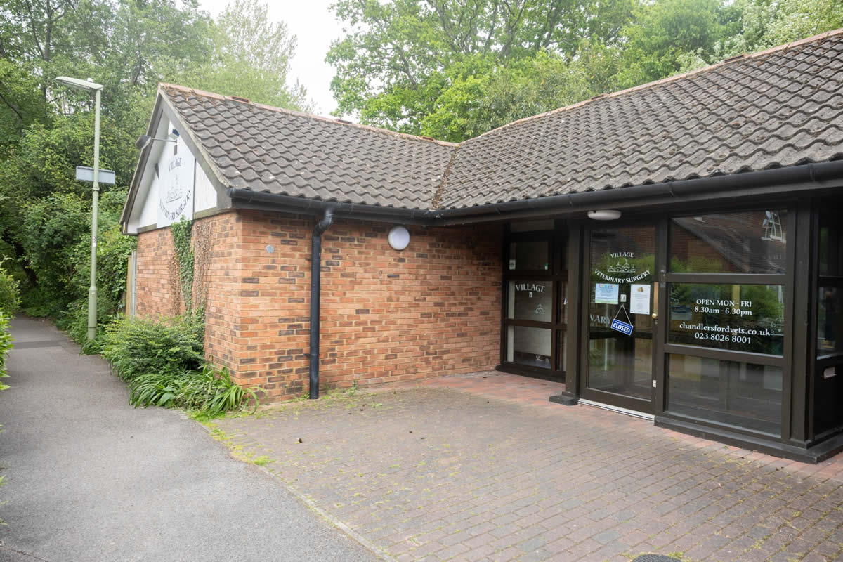 village vets
